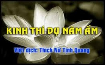 Kinh thí dụ năm ấm